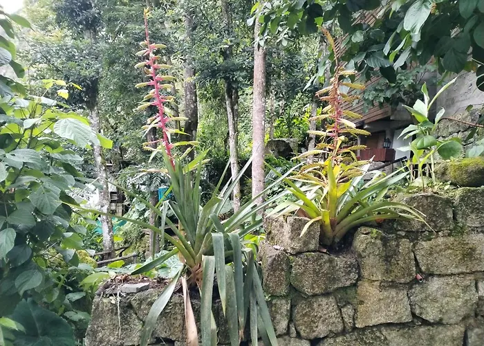 Eco Art View Hotel